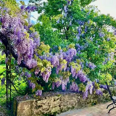 La Merlandie Tatil Evi