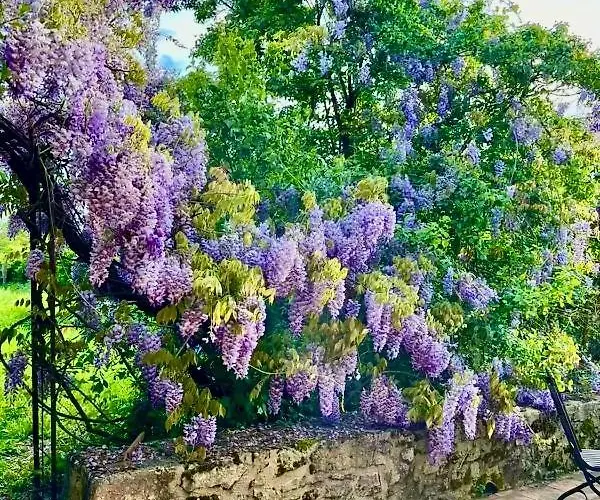 La Merlandie Vakantiehuis